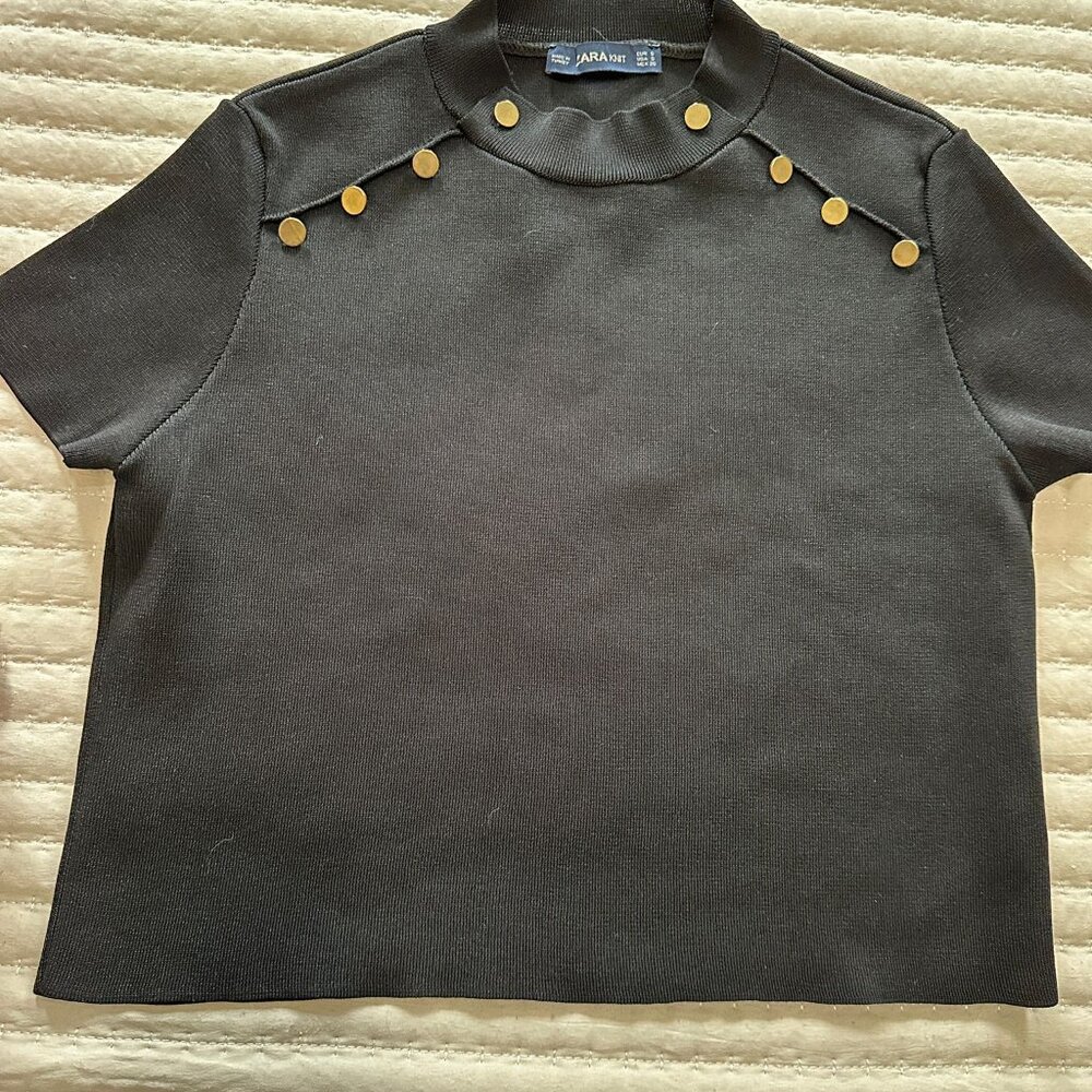 Zara knit turtle neck crop top